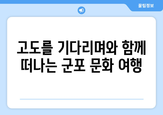 "고도를 기다리며" 군포에서 만나는 특별한 매력 | 군포 가볼 만한 곳, 여행, 문화, 맛집, 즐길거리