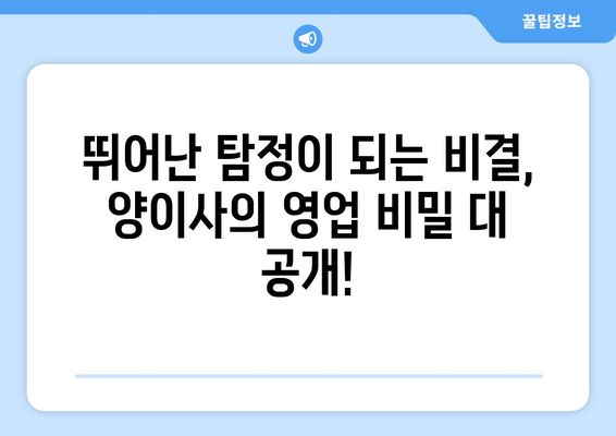 탐정들의 영업비밀| 양이사의 성공 전략 대공개 | 탐정, 성공 전략, 영업 비밀, 양이사, 팁, 노하우