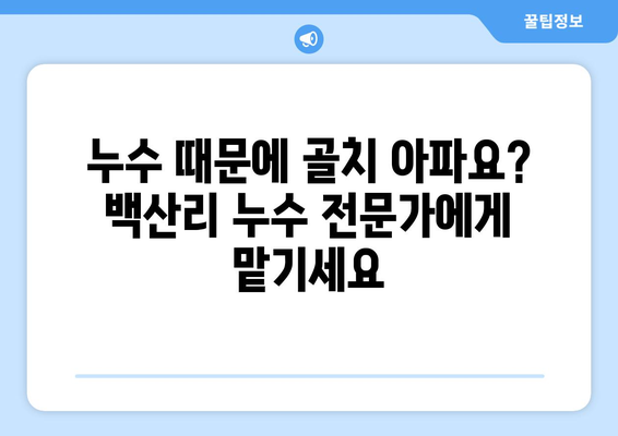 함안군 백산리 누수 해결, 믿을 수 있는 업체 찾기 | 누수탐지, 누수공사, 전문업체, 추천