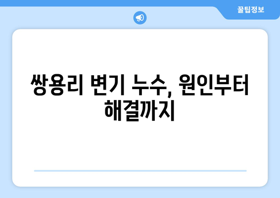 강원도 영월군 쌍용리 변기 누수 해결 가이드| 원인 분석부터 전문 업체 추천까지 | 변기 수리, 누수 탐지, 배관 공사