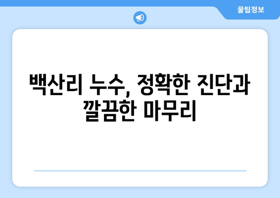 함안군 백산리 누수 해결, 믿을 수 있는 업체 찾기 | 누수탐지, 누수공사, 전문업체, 추천