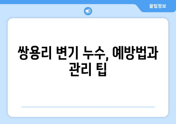 강원도 영월군 쌍용리 변기 누수 해결 가이드| 원인 분석부터 전문 업체 추천까지 | 변기 수리, 누수 탐지, 배관 공사