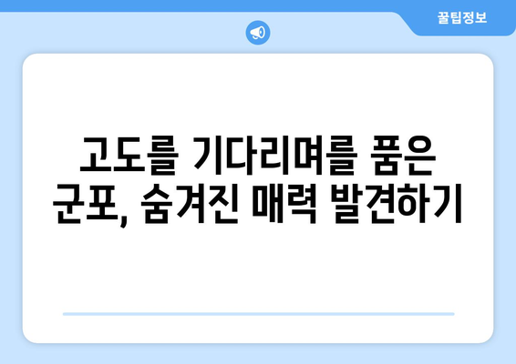 "고도를 기다리며" 군포에서 만나는 특별한 매력 | 군포 가볼 만한 곳, 여행, 문화, 맛집, 즐길거리