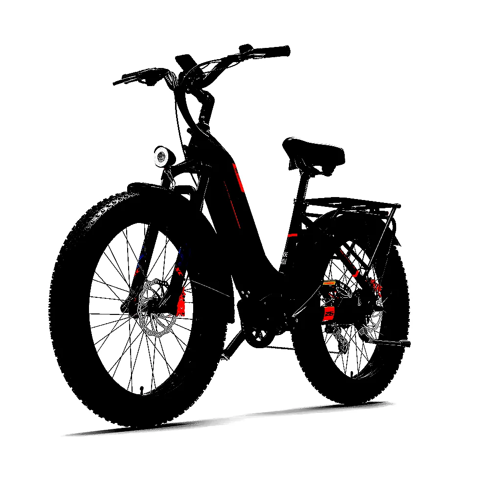 랑케레이시 MG600PLUS 전기자전거 토크센서 48V20A 1000W 전동자전거 관세포함 이미지 2