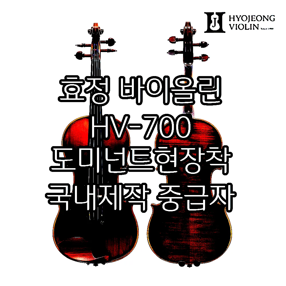 효정 바이올린 HV-700 도미넌트현장착 국내제작 중급자 고급형 HV700 이미지 1