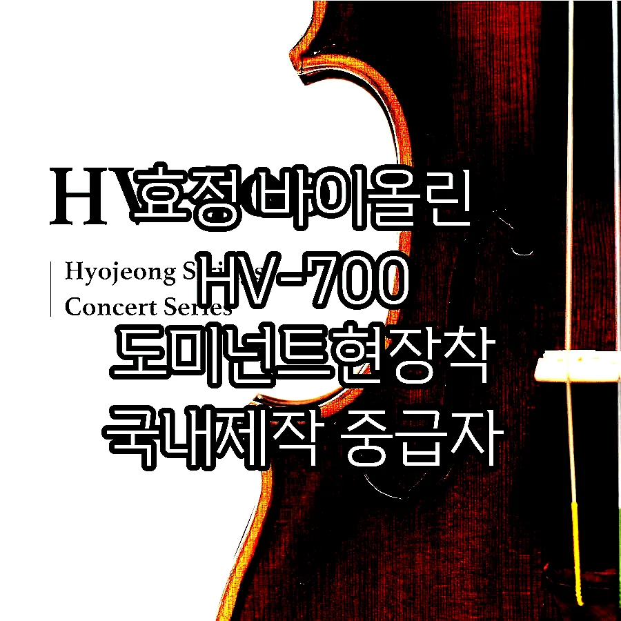효정 바이올린 HV-700 도미넌트현장착 국내제작 중급자 고급형 HV700 이미지 2