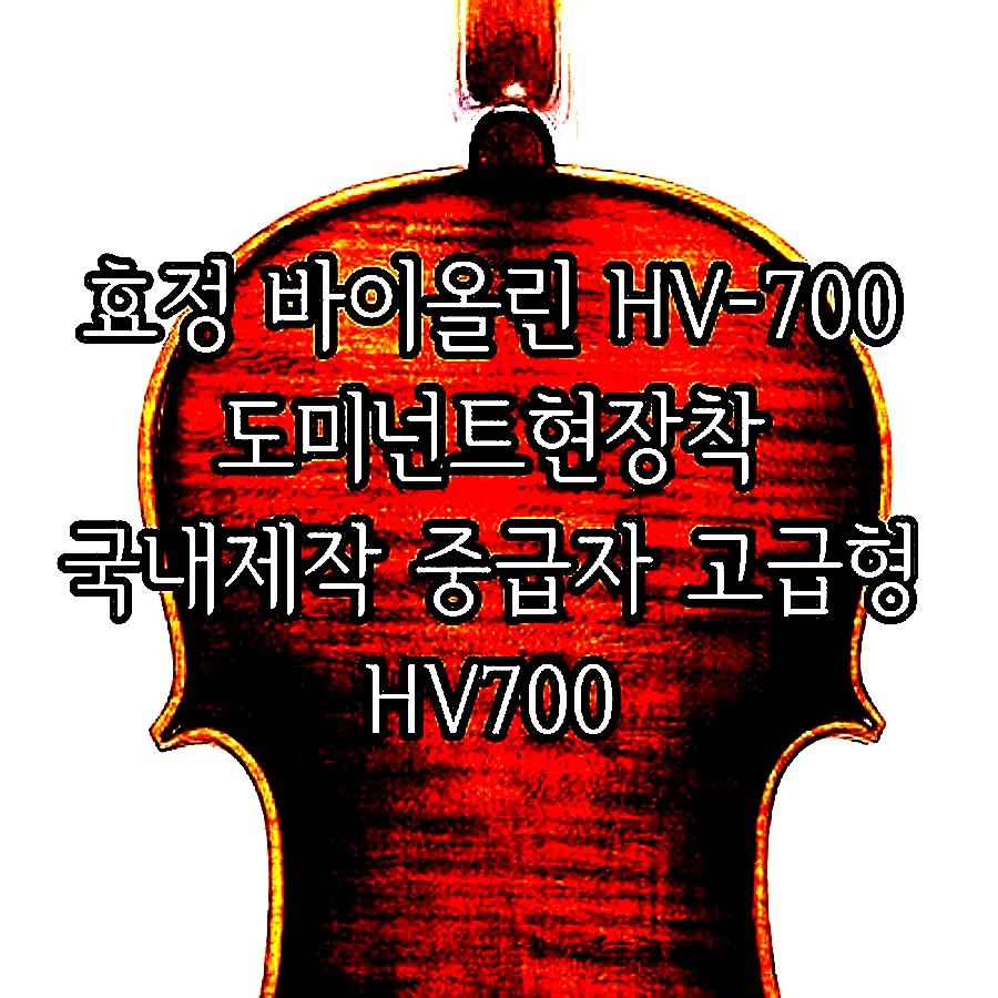 효정 바이올린 HV-700 도미넌트현장착 국내제작 중급자 고급형 HV700 이미지 4