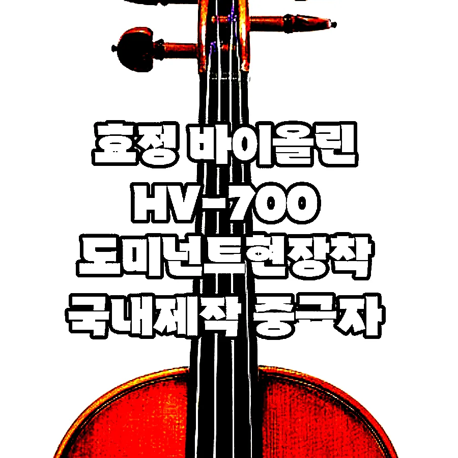 효정 바이올린 HV-700 도미넌트현장착 국내제작 중급자 고급형 HV700 이미지 5